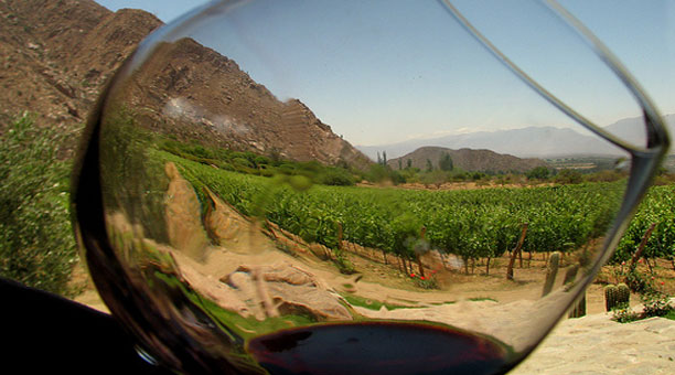 Mendonza - vinhos