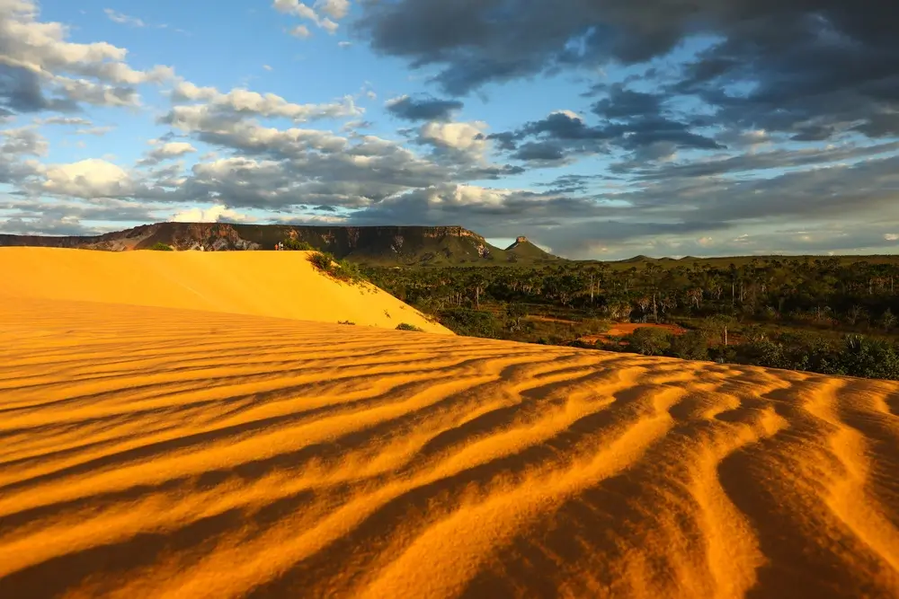 Vista das dunas do Jalapão revelam o contraste entre o dourado da areia e o verde da floresta