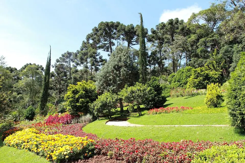 Flores e plantas ornamentais que formam o paisagismo do Jardim dos Pinhais Ecco Parque