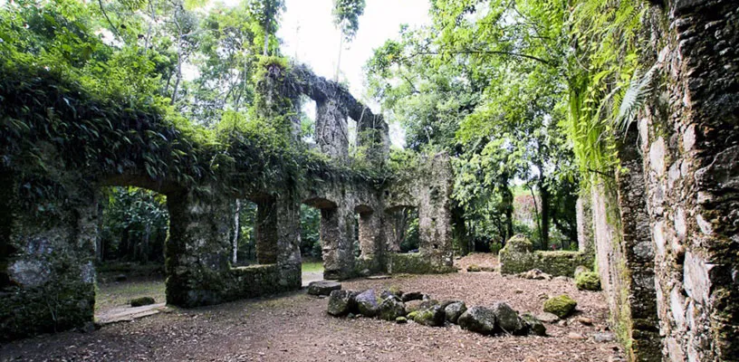 Ruínas de edificação do século XIX com vegetação.