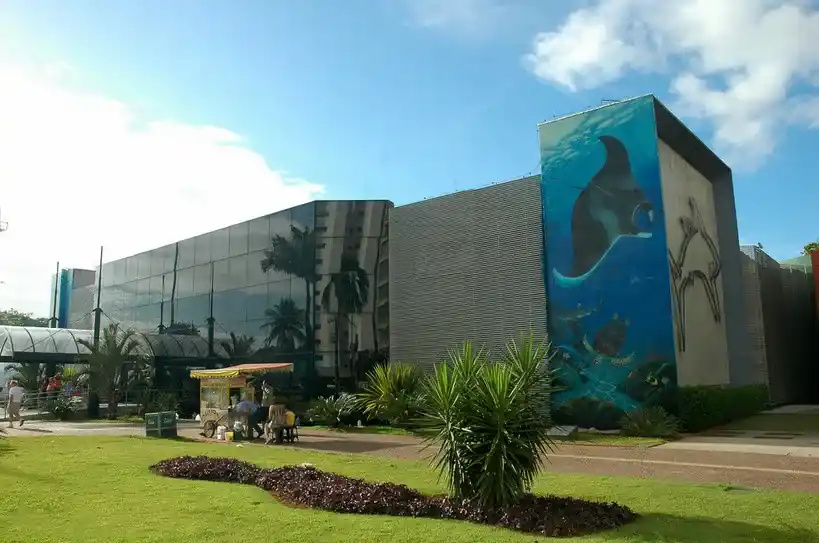 Murais com animais marinhos pintados em um edifício. 

