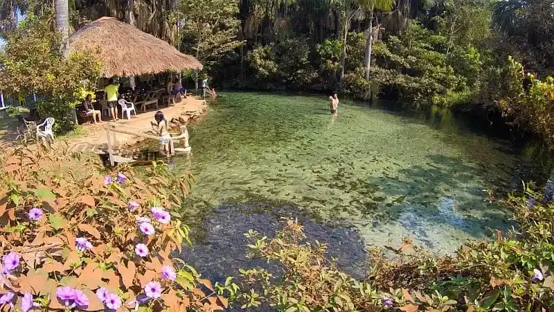 pessoas se divertem em lago de águas transparentes cercado de vegetação