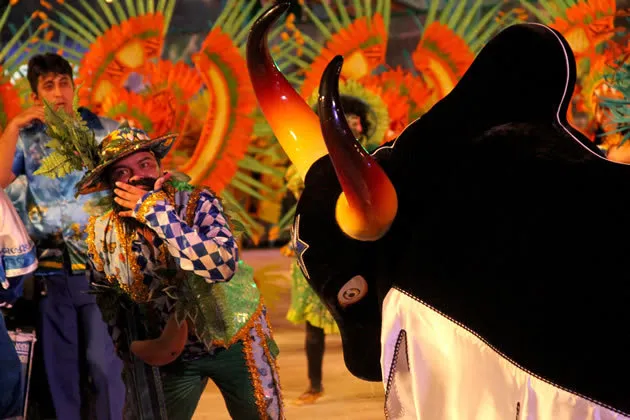 Os tradicionais bois de Parintins participando do carnaval de Manaus.