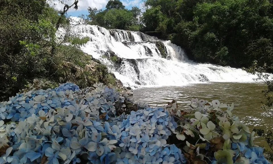 Hortênsias e cachoeiras formam a paisagem de Campo Alegre.